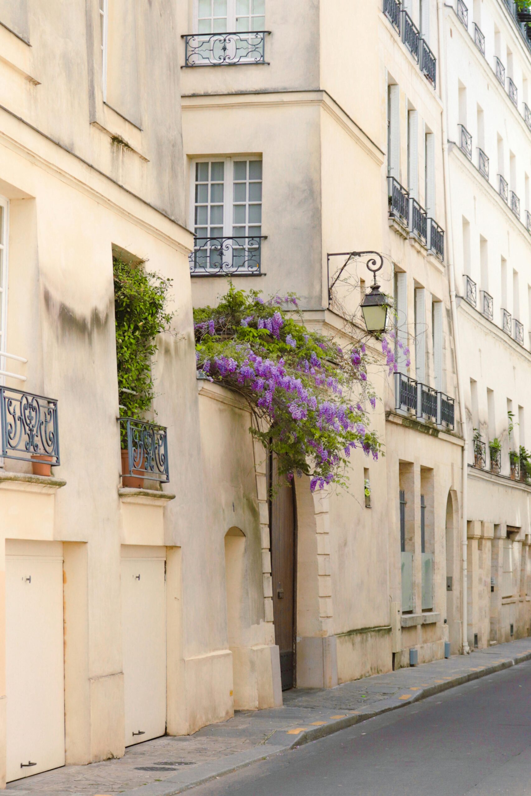to grow old is a choice, fifth and Paris love letters